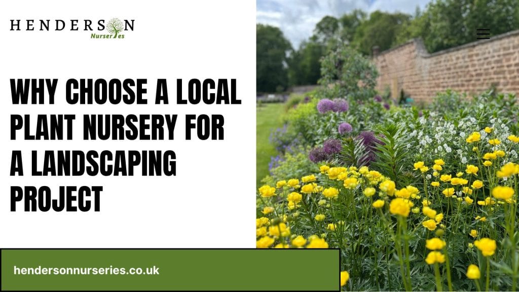 Why Choose a Local Plant Nursery for a Landscaping Project